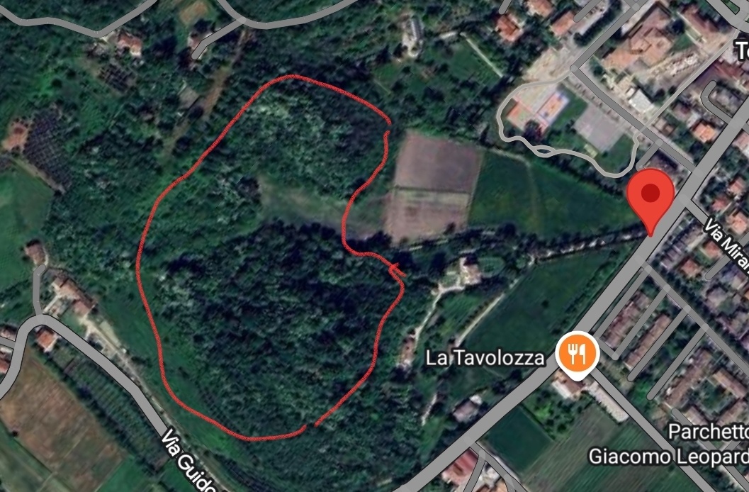 Campo Crezy